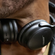 Bose QuietComfort 45 Noise Canceling Headphones | $249 | Amazon
Bose QuietComfort 45 Noise Canceling Headphones | $249 | Best Buy